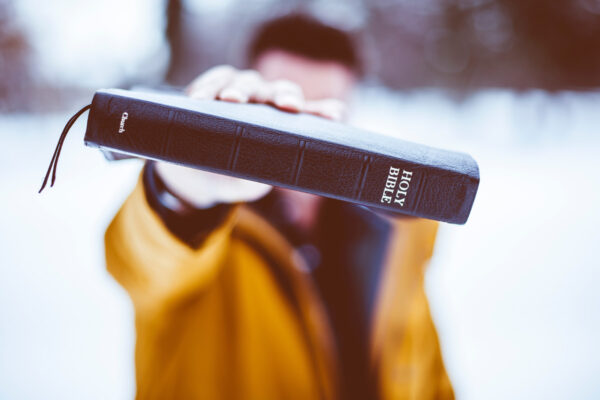 Bible Search
